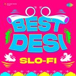 Best Desi Slo-Fi - Rabbi Shergill Song Download