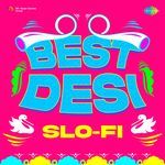 Best Desi Slo-Fi - Rabbi Shergill Song Download
